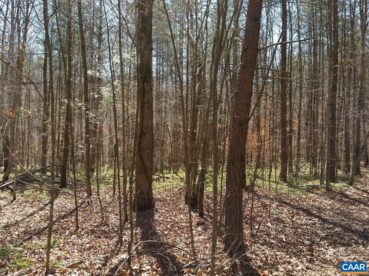 2647 PENNY LN, CHARLOTTESVILLE, Virginia 22901, ,Land,For sale,2647 PENNY LN,670689 MLS # 670689