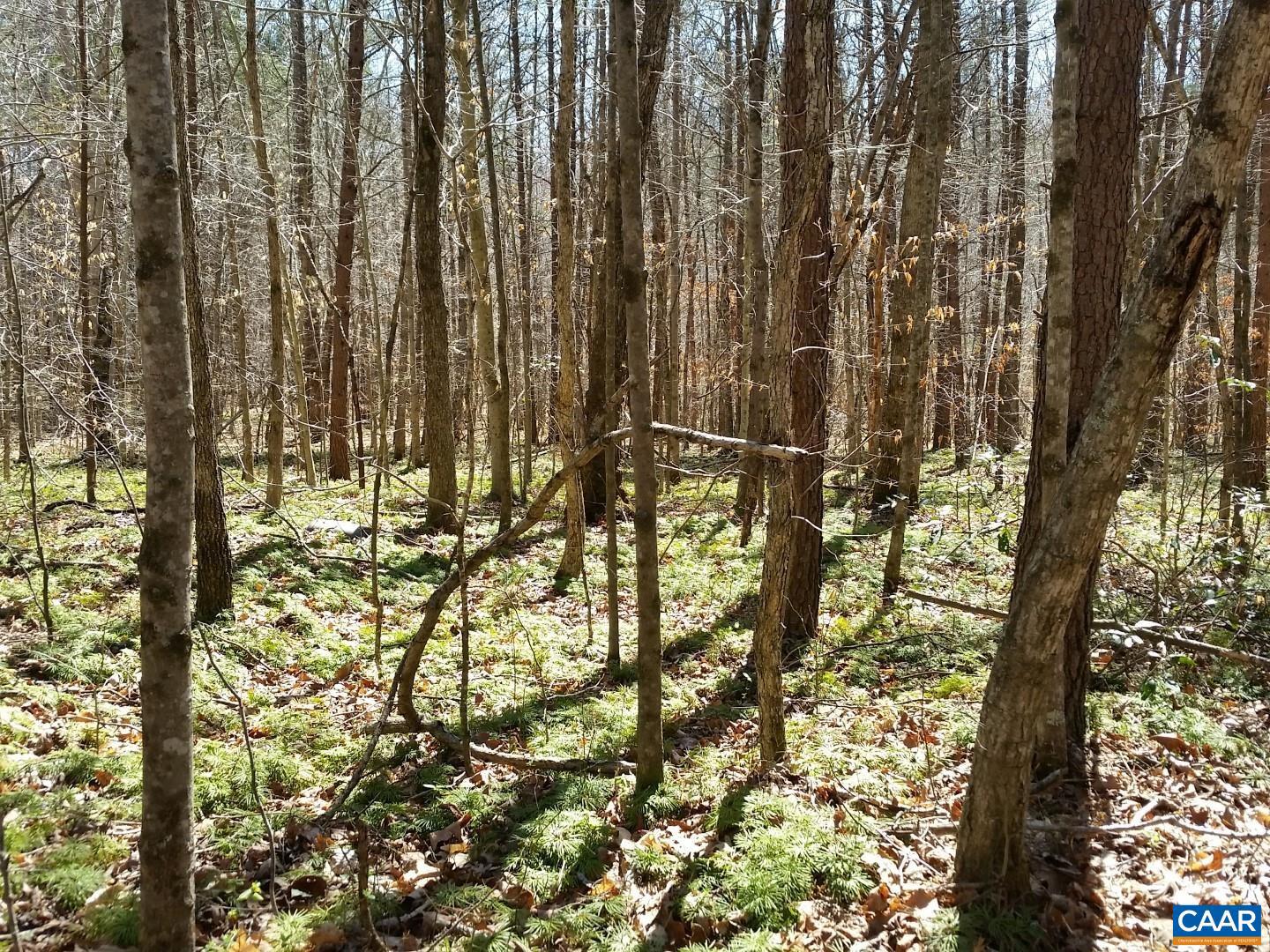 2647 PENNY LN, CHARLOTTESVILLE, Virginia 22901, ,Land,For sale,2647 PENNY LN,670689 MLS # 670689