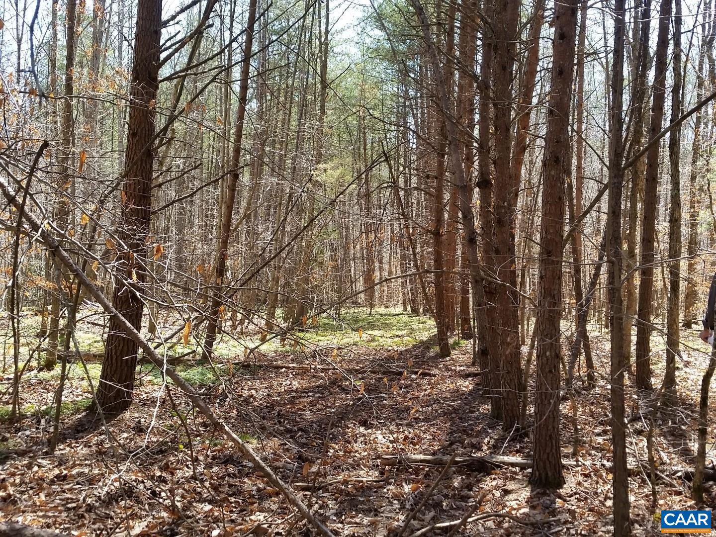 2647 PENNY LN, CHARLOTTESVILLE, Virginia 22901, ,Land,For sale,2647 PENNY LN,670689 MLS # 670689