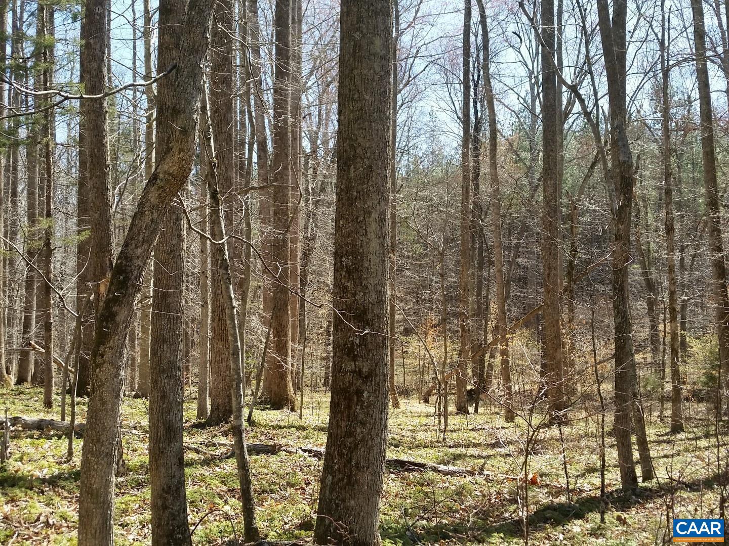 2647 PENNY LN, CHARLOTTESVILLE, Virginia 22901, ,Land,For sale,2647 PENNY LN,670689 MLS # 670689