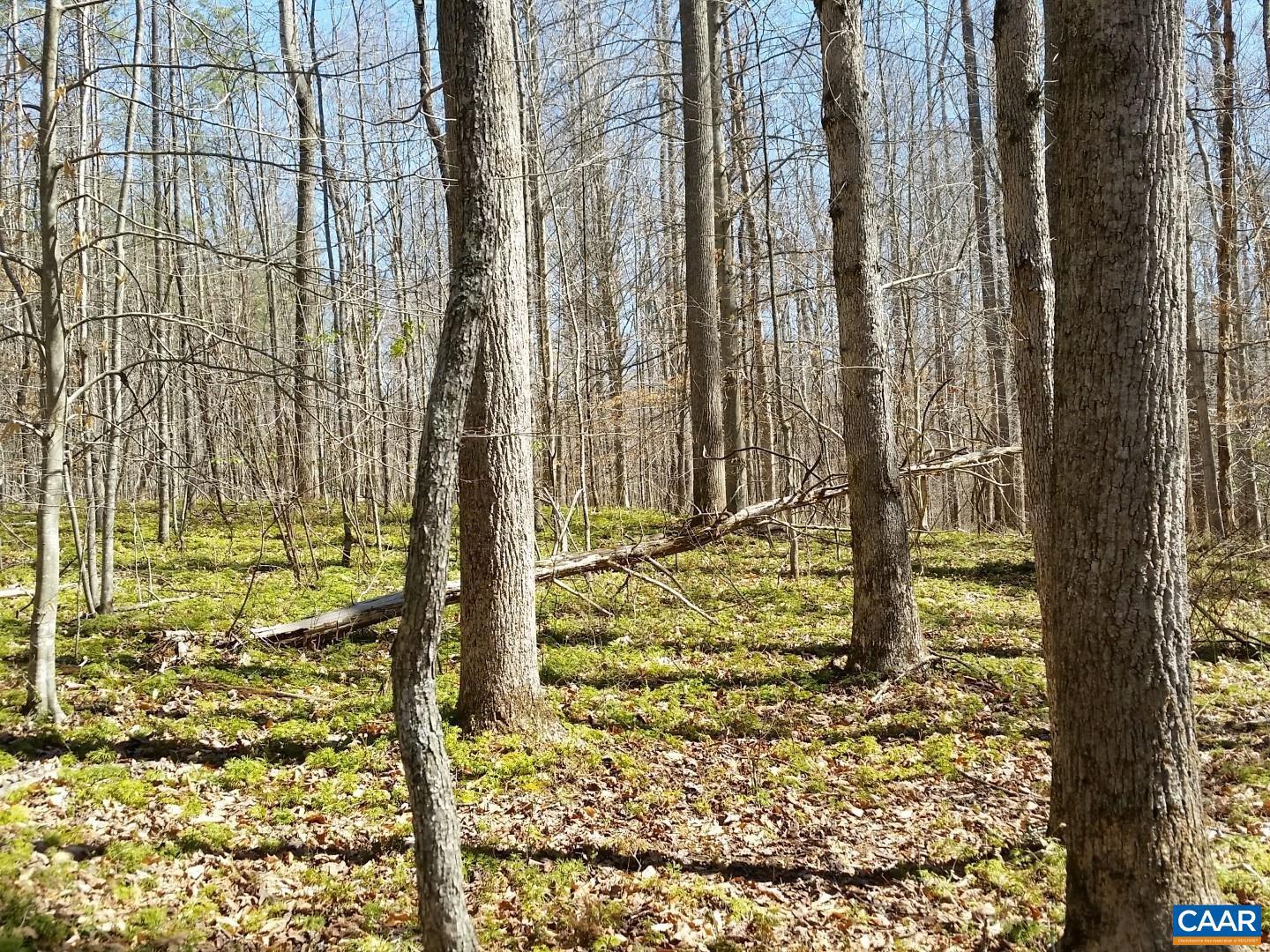 2647 PENNY LN, CHARLOTTESVILLE, Virginia 22901, ,Land,For sale,2647 PENNY LN,670689 MLS # 670689