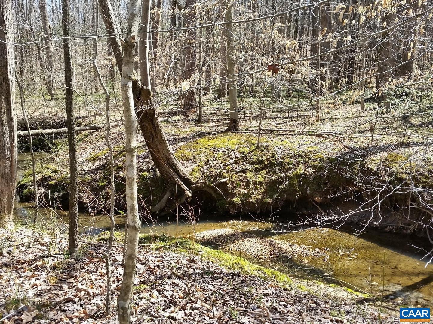 2647 PENNY LN, CHARLOTTESVILLE, Virginia 22901, ,Land,For sale,2647 PENNY LN,670689 MLS # 670689