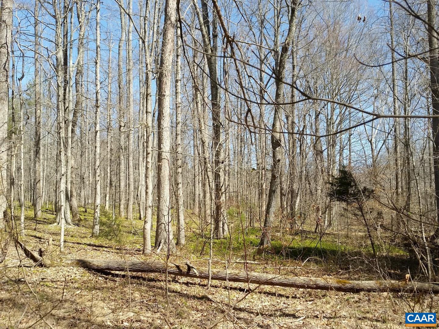 2647 PENNY LN, CHARLOTTESVILLE, Virginia 22901, ,Land,For sale,2647 PENNY LN,670689 MLS # 670689