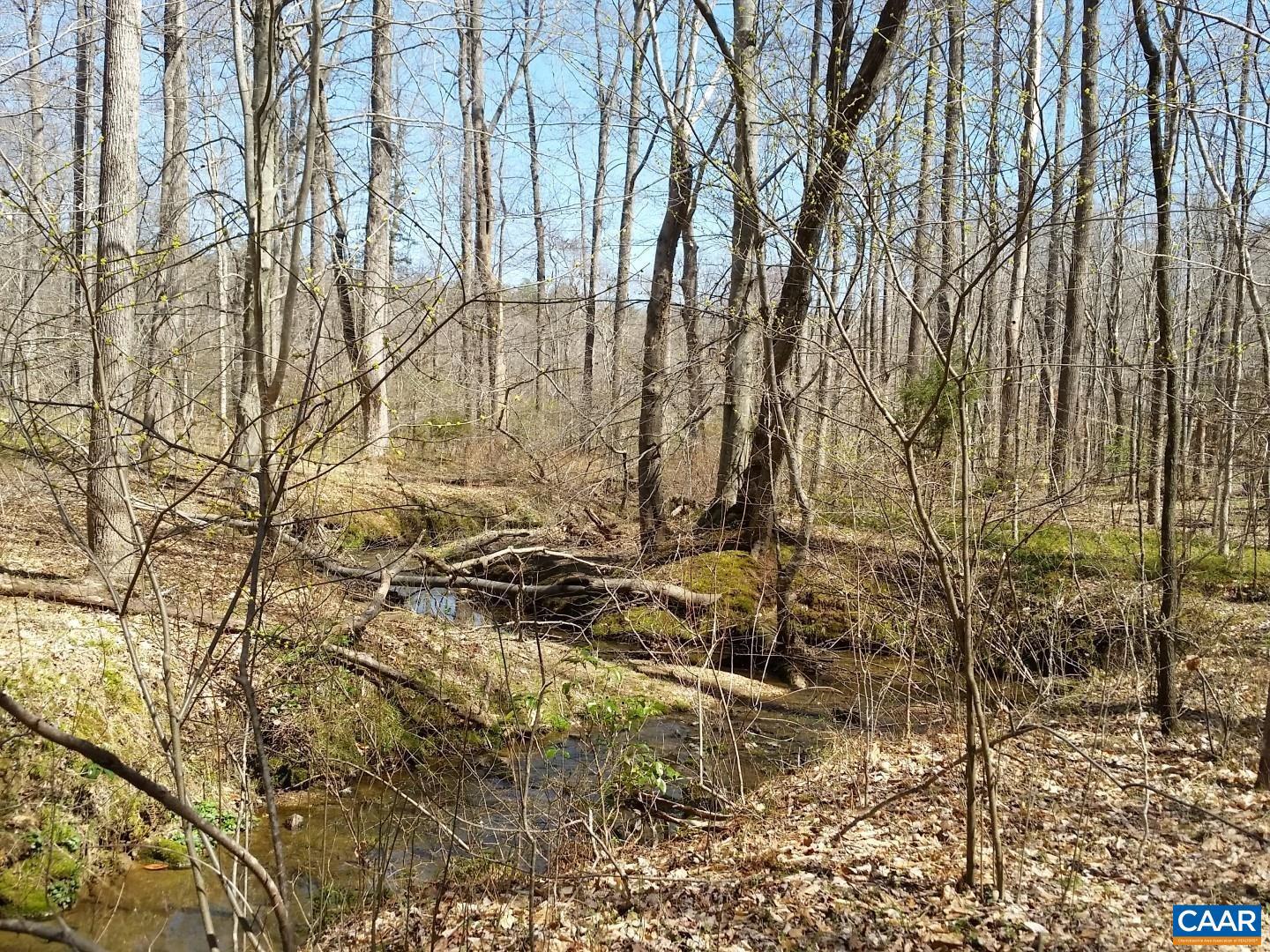 2647 PENNY LN, CHARLOTTESVILLE, Virginia 22901, ,Land,For sale,2647 PENNY LN,670689 MLS # 670689