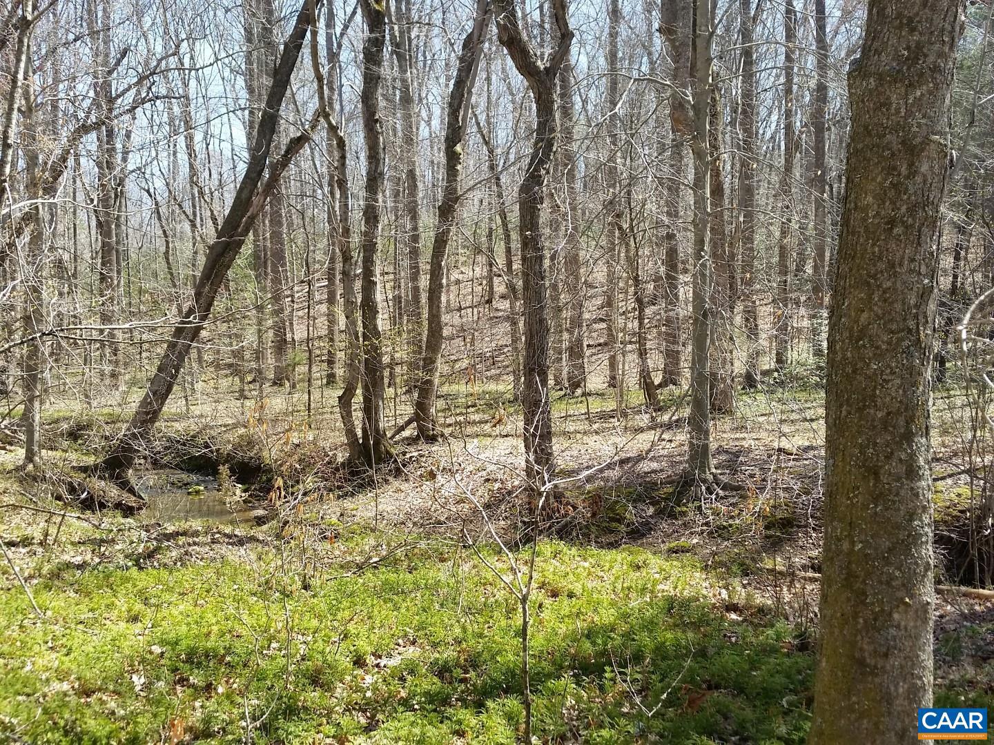 2647 PENNY LN, CHARLOTTESVILLE, Virginia 22901, ,Land,For sale,2647 PENNY LN,670689 MLS # 670689