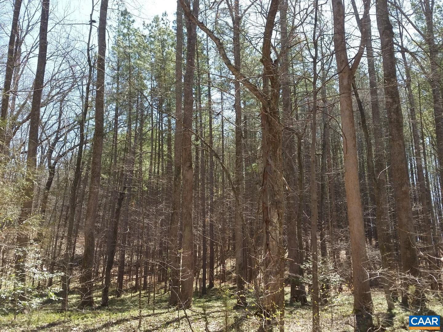 2647 PENNY LN, CHARLOTTESVILLE, Virginia 22901, ,Land,For sale,2647 PENNY LN,670689 MLS # 670689