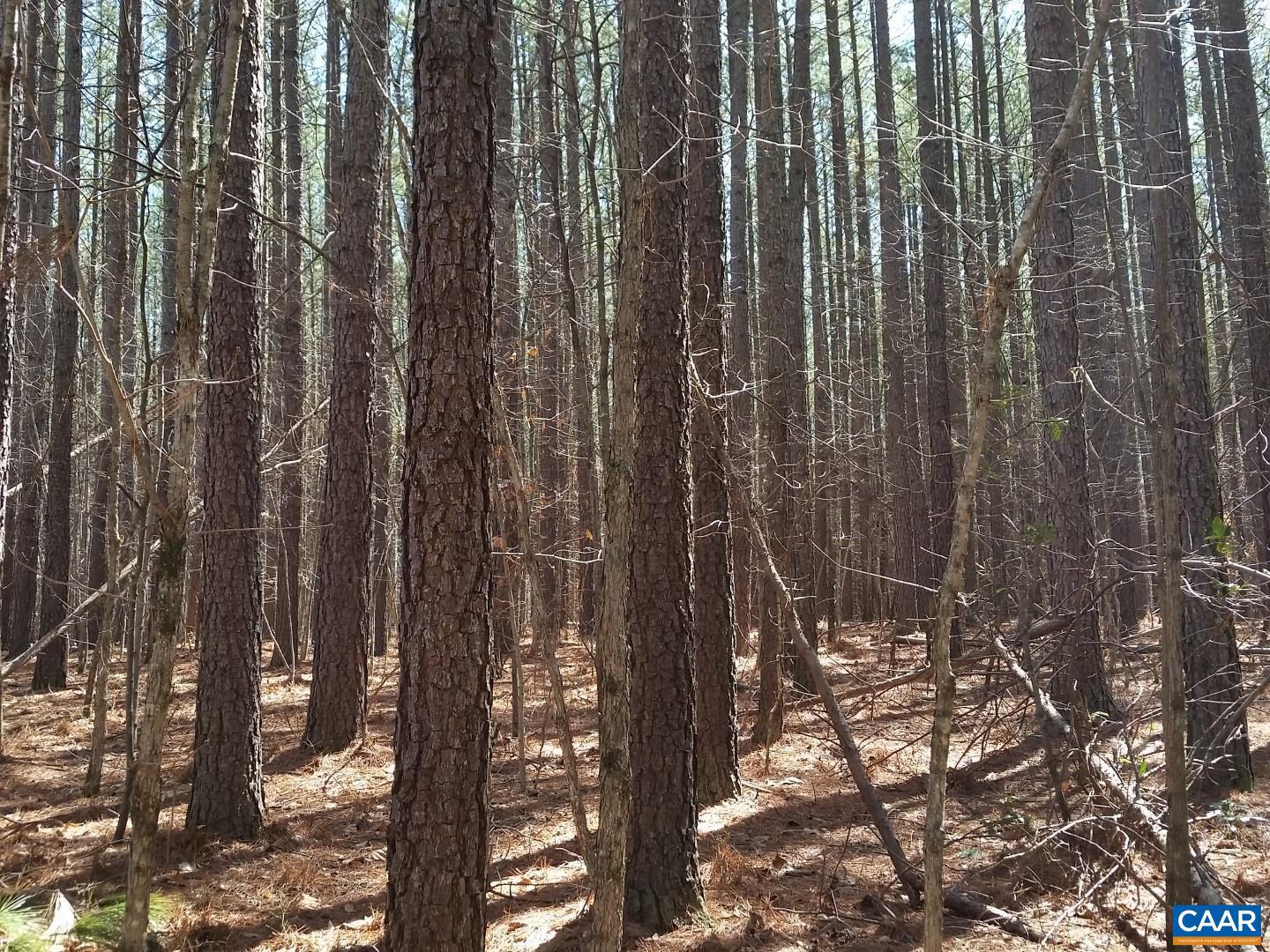 2647 PENNY LN, CHARLOTTESVILLE, Virginia 22901, ,Land,For sale,2647 PENNY LN,670689 MLS # 670689