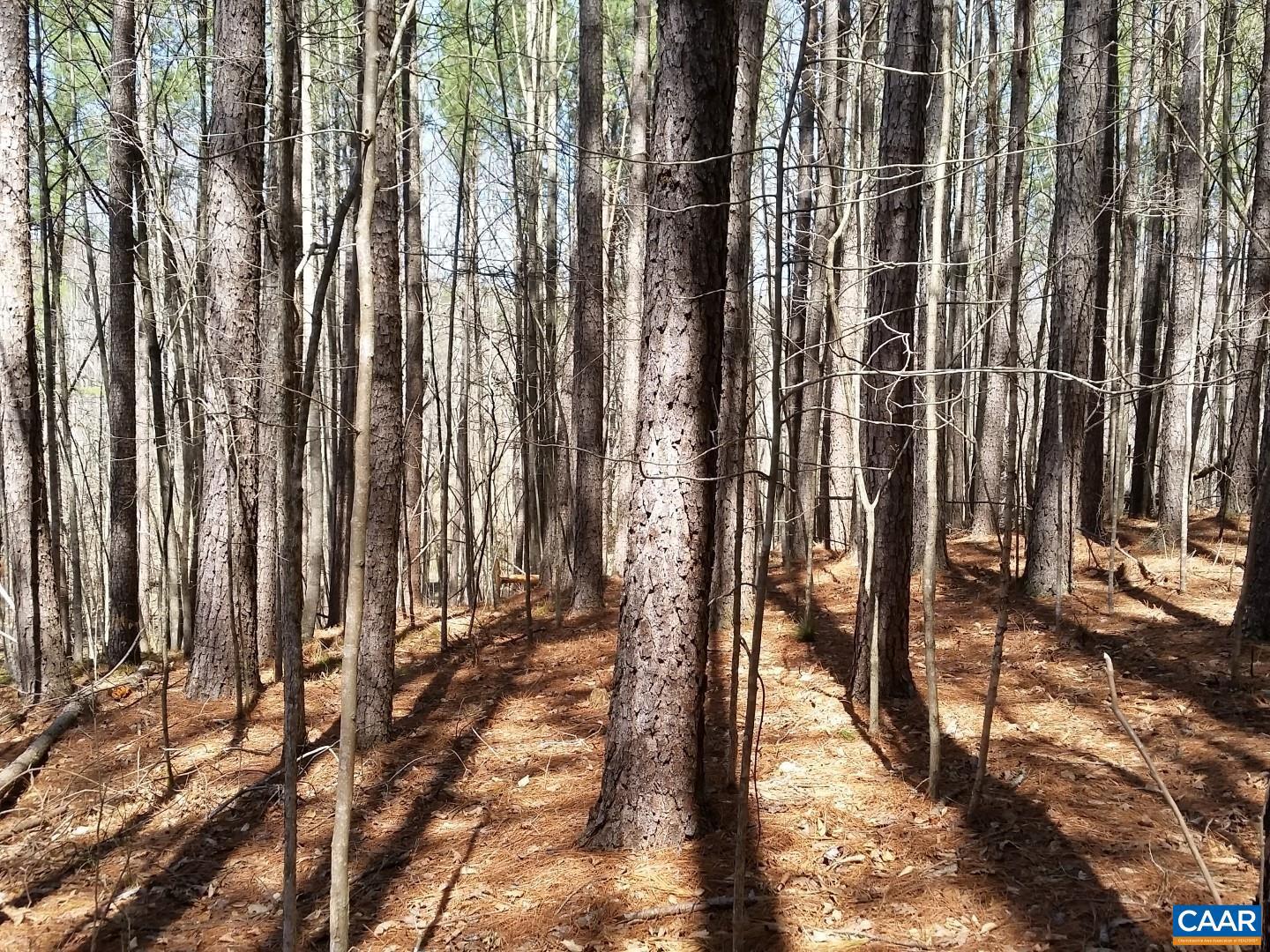 2647 PENNY LN, CHARLOTTESVILLE, Virginia 22901, ,Land,For sale,2647 PENNY LN,670689 MLS # 670689