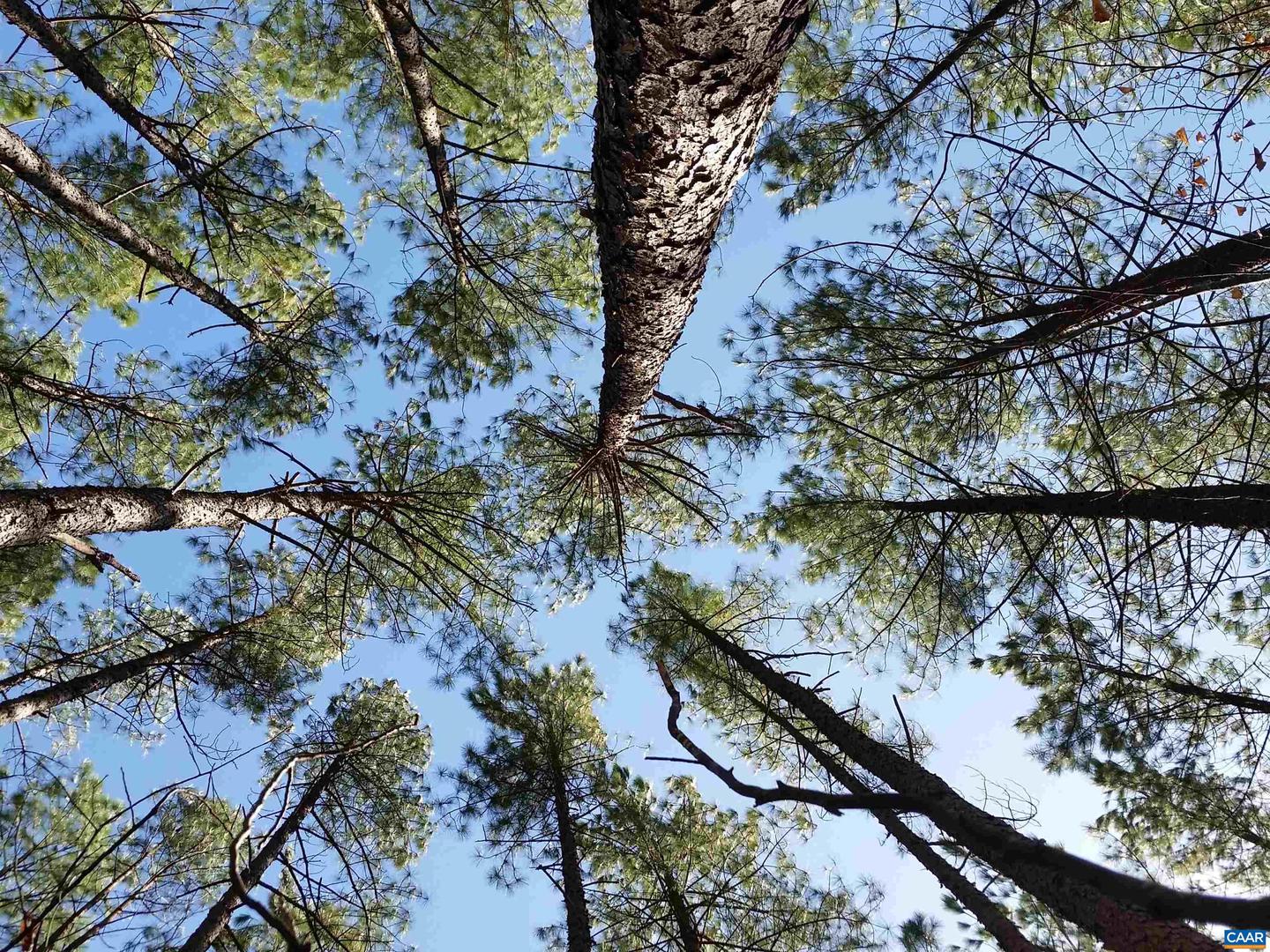 2647 PENNY LN, CHARLOTTESVILLE, Virginia 22901, ,Land,For sale,2647 PENNY LN,670689 MLS # 670689