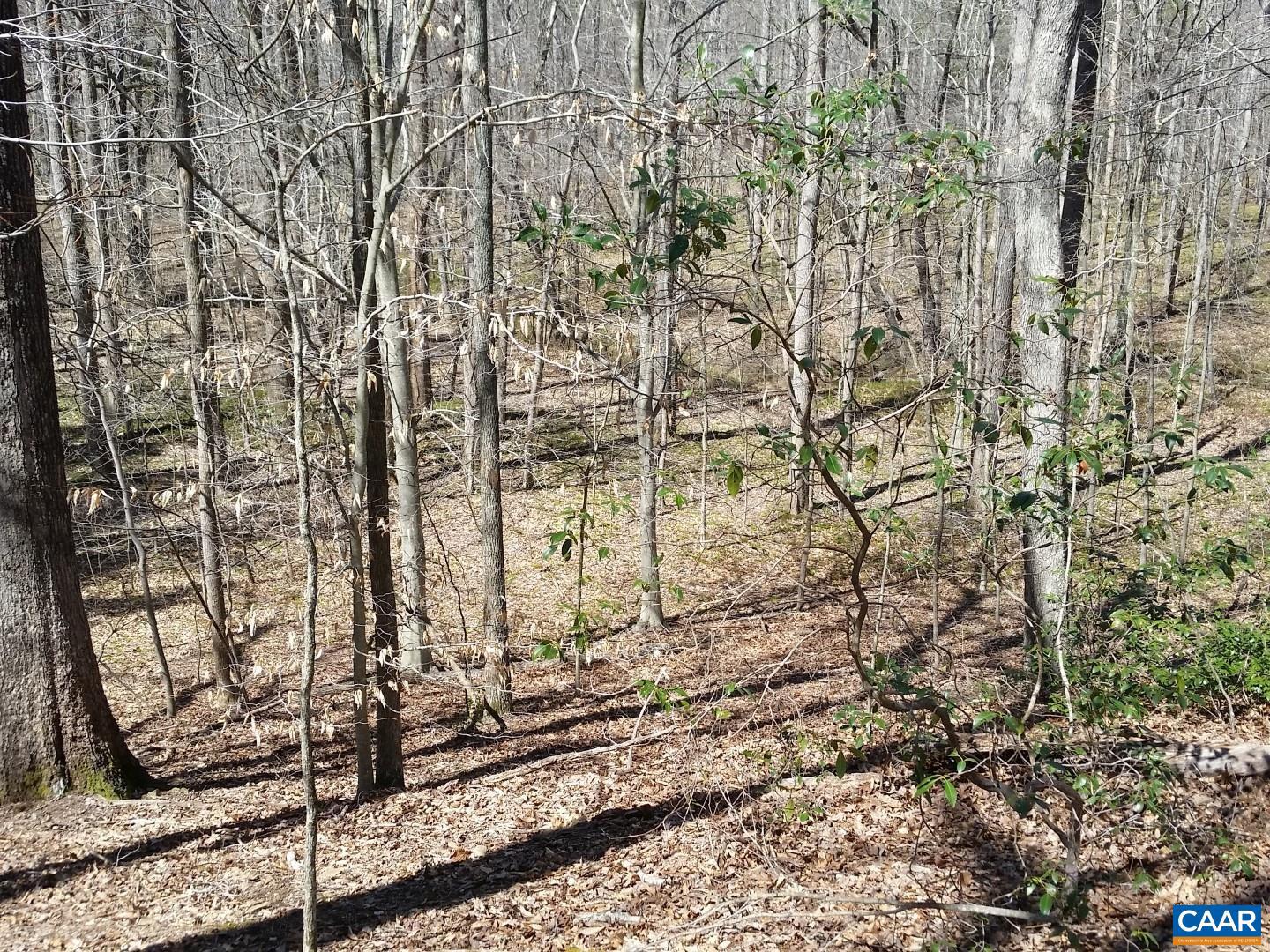 2647 PENNY LN, CHARLOTTESVILLE, Virginia 22901, ,Land,For sale,2647 PENNY LN,670689 MLS # 670689