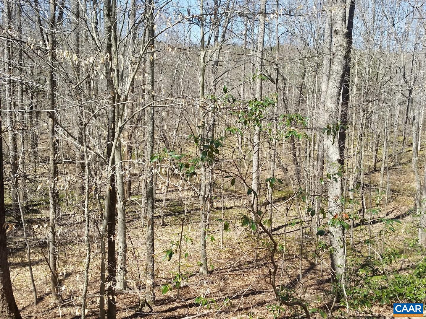 2647 PENNY LN, CHARLOTTESVILLE, Virginia 22901, ,Land,For sale,2647 PENNY LN,670689 MLS # 670689