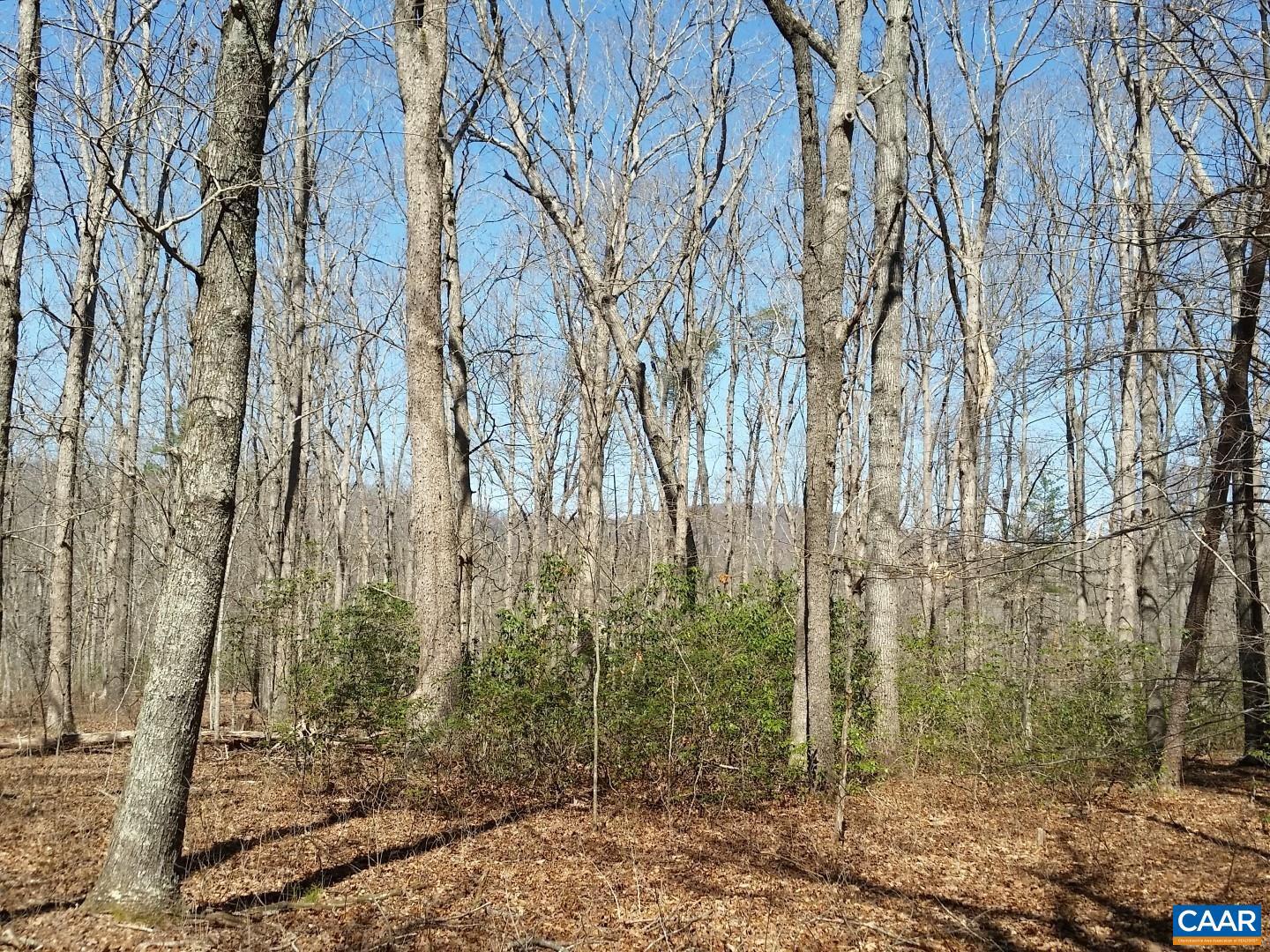 2647 PENNY LN, CHARLOTTESVILLE, Virginia 22901, ,Land,For sale,2647 PENNY LN,670689 MLS # 670689