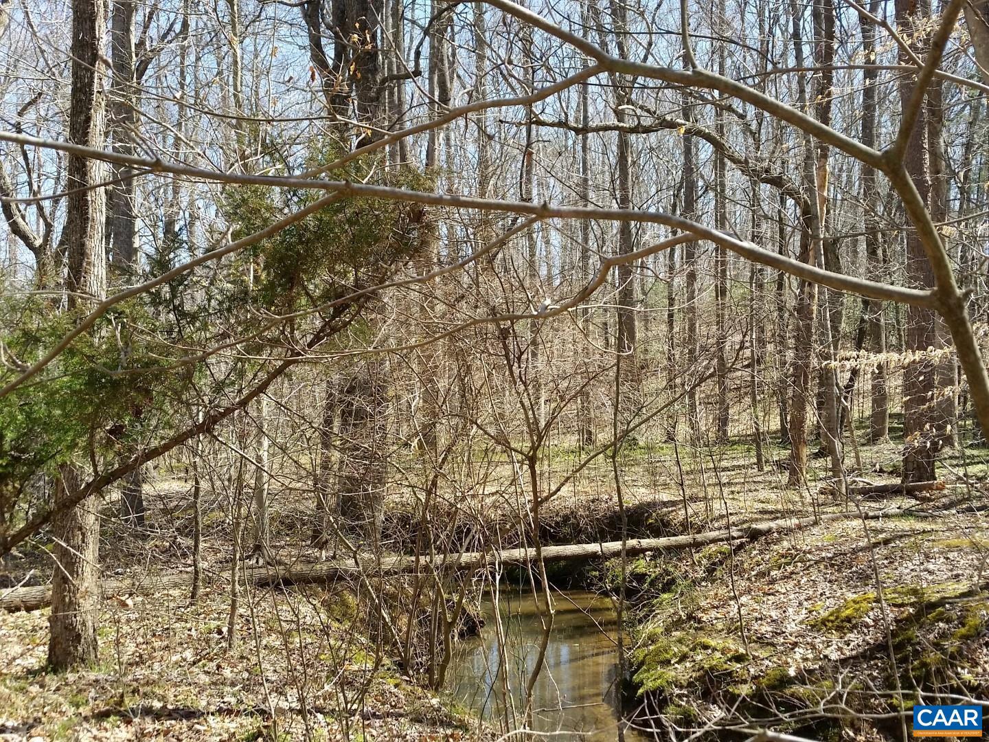 2647 PENNY LN, CHARLOTTESVILLE, Virginia 22901, ,Land,For sale,2647 PENNY LN,670689 MLS # 670689