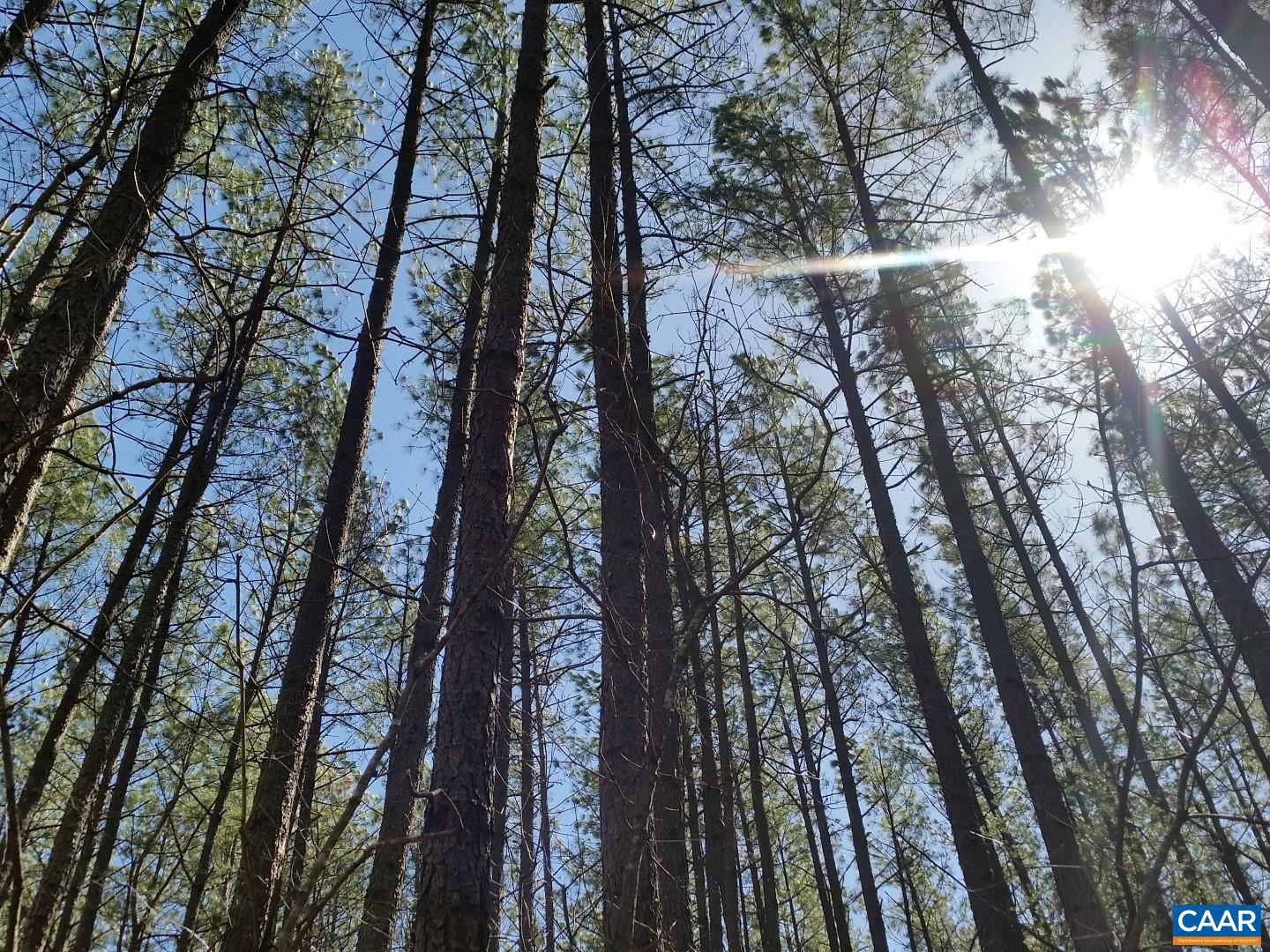 2647 PENNY LN, CHARLOTTESVILLE, Virginia 22901, ,Land,For sale,2647 PENNY LN,670689 MLS # 670689