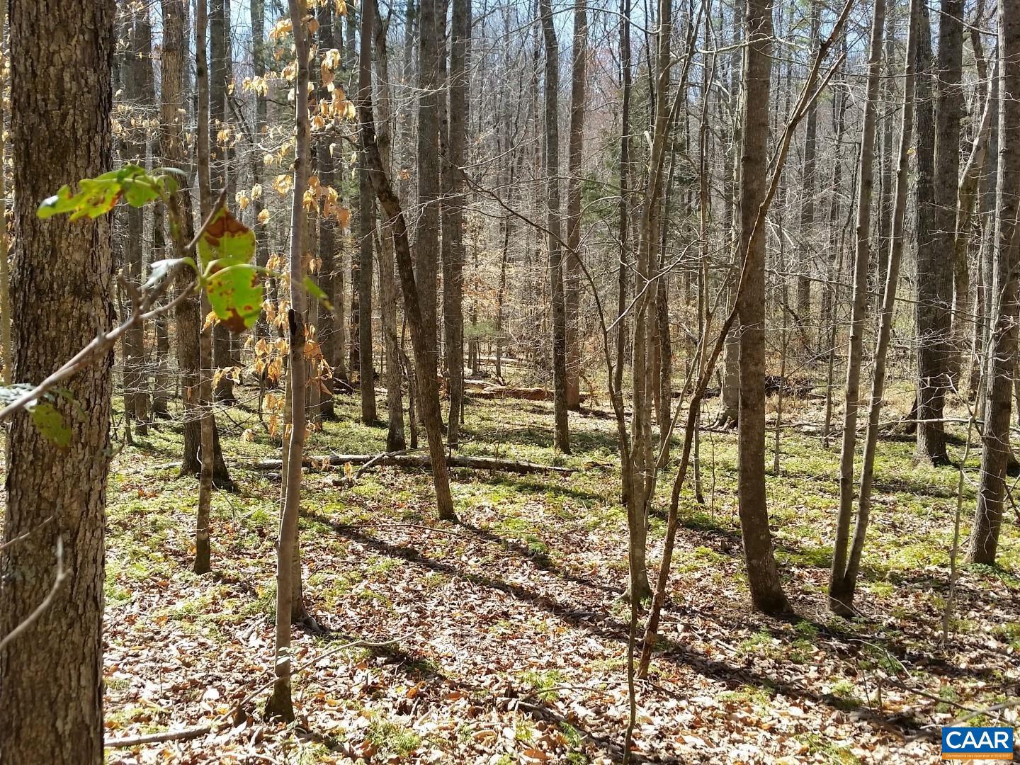 2647 PENNY LN, CHARLOTTESVILLE, Virginia 22901, ,Land,For sale,2647 PENNY LN,670689 MLS # 670689