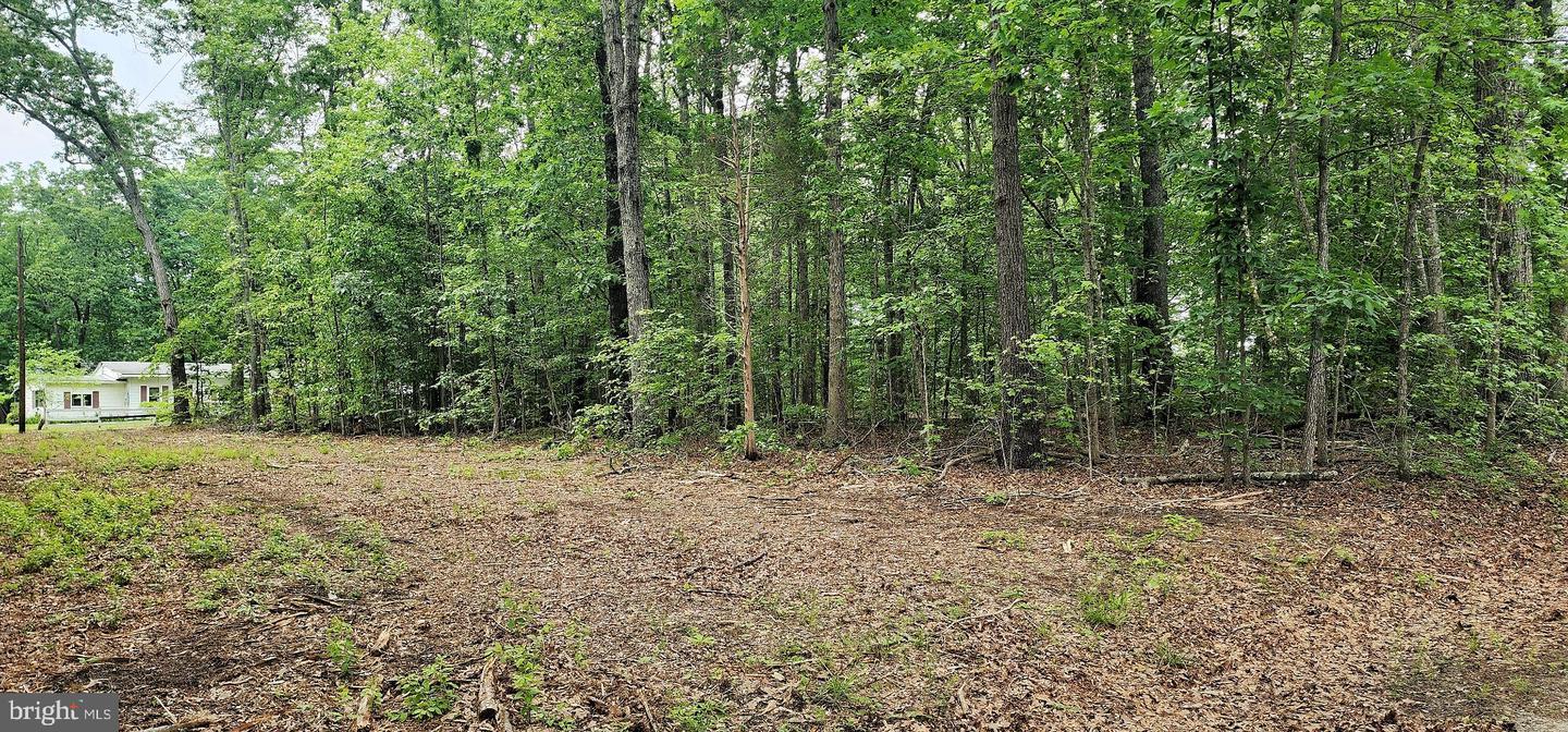 G1 ORCHID LAKE DR, GUM SPRING, Virginia 23065, ,Land,For sale,G1 ORCHID LAKE DR,VALA2008842 MLS # VALA2008842 G1 ORCHID LAKE DR, GUM SPRING, Virginia 23065, ,Land,For sale,G1 ORCHID LAKE DR,VALA2008842 MLS # VALA2008842