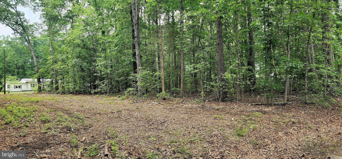 G3 ORCHID LAKE, GUM SPRING, Virginia 23065, ,Land,For sale,G3 ORCHID LAKE,VALA2008846 MLS # VALA2008846 G3 ORCHID LAKE, GUM SPRING, Virginia 23065, ,Land,For sale,G3 ORCHID LAKE,VALA2008846 MLS # VALA2008846