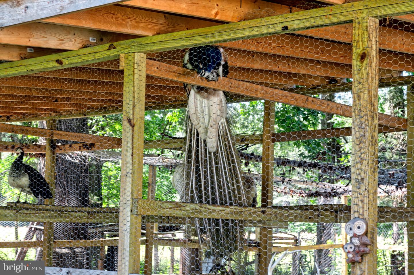 10439 ASHCAKE RD, ASHLAND, Virginia 23005, 4 Bedrooms Bedrooms, ,2 BathroomsBathrooms,Residential,For sale,10439 ASHCAKE RD,VAHA2001102 MLS # VAHA2001102 10439 ASHCAKE RD, ASHLAND, Virginia 23005, 4 Bedrooms Bedrooms, ,2 BathroomsBathrooms,Residential,For sale,10439 ASHCAKE RD,VAHA2001102 MLS # VAHA2001102