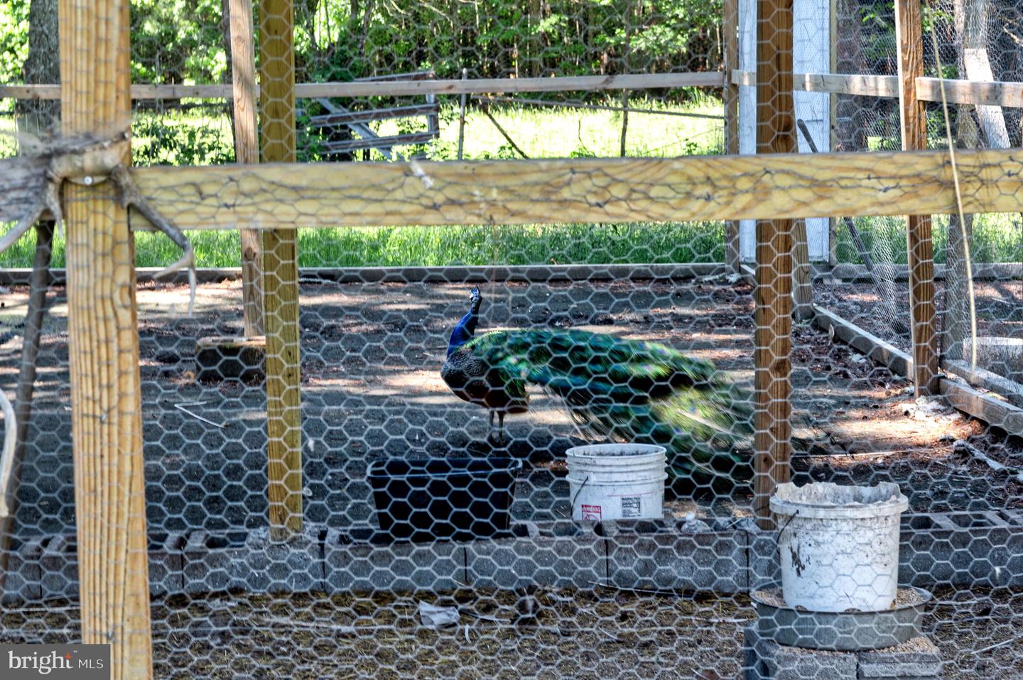 10439 ASHCAKE RD, ASHLAND, Virginia 23005, 4 Bedrooms Bedrooms, ,2 BathroomsBathrooms,Residential,For sale,10439 ASHCAKE RD,VAHA2001102 MLS # VAHA2001102 10439 ASHCAKE RD, ASHLAND, Virginia 23005, 4 Bedrooms Bedrooms, ,2 BathroomsBathrooms,Residential,For sale,10439 ASHCAKE RD,VAHA2001102 MLS # VAHA2001102