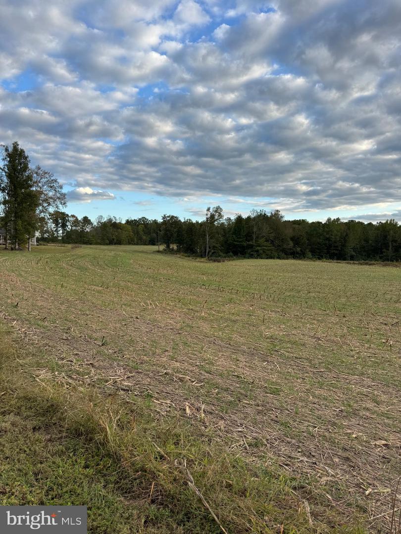 284 BOULDER SPRINGS LN, LOUISA, Virginia 23093, 4 Bedrooms Bedrooms, ,2 BathroomsBathrooms,Farm,For sale,284 BOULDER SPRINGS LN,VALA2008790 MLS # VALA2008790 284 BOULDER SPRINGS LN, LOUISA, Virginia 23093, 4 Bedrooms Bedrooms, ,2 BathroomsBathrooms,Farm,For sale,284 BOULDER SPRINGS LN,VALA2008790 MLS # VALA2008790