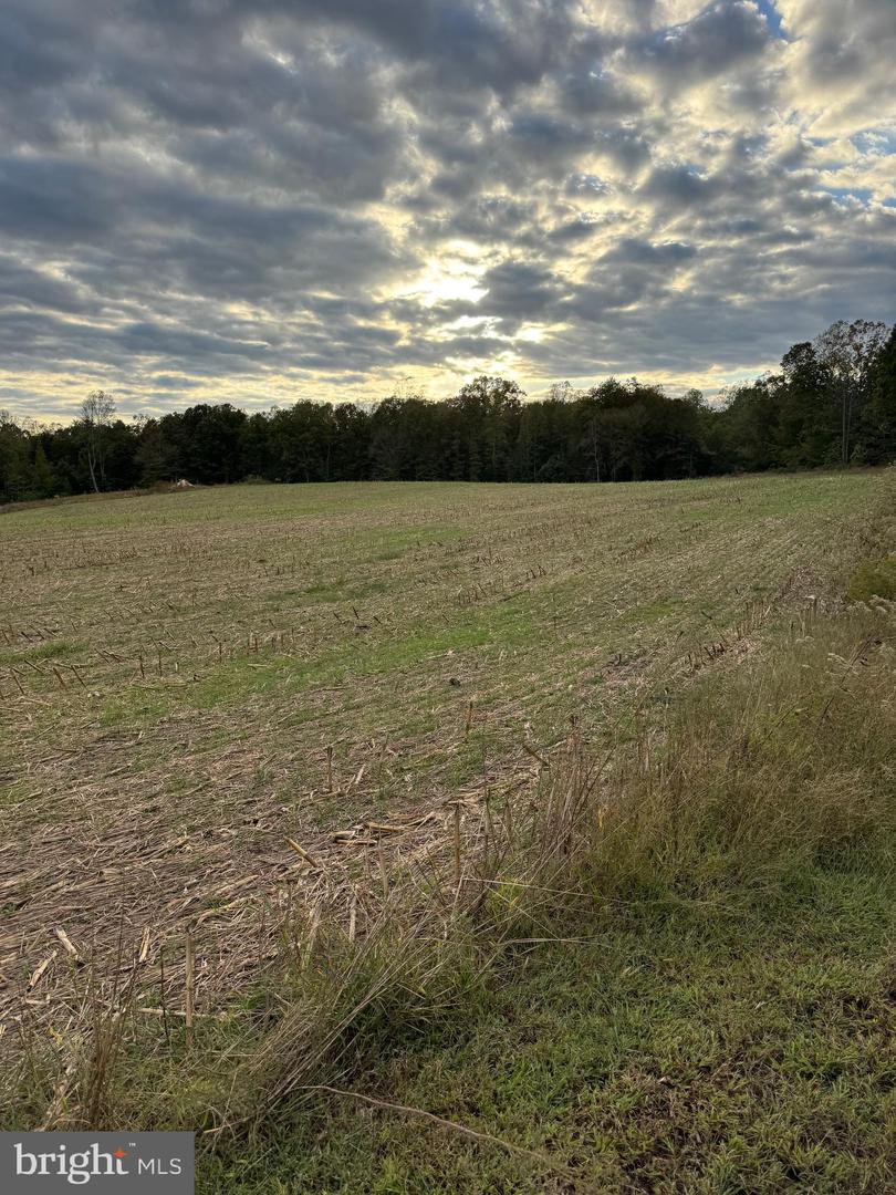 284 BOULDER SPRINGS LN, LOUISA, Virginia 23093, 4 Bedrooms Bedrooms, ,2 BathroomsBathrooms,Farm,For sale,284 BOULDER SPRINGS LN,VALA2008790 MLS # VALA2008790 284 BOULDER SPRINGS LN, LOUISA, Virginia 23093, 4 Bedrooms Bedrooms, ,2 BathroomsBathrooms,Farm,For sale,284 BOULDER SPRINGS LN,VALA2008790 MLS # VALA2008790