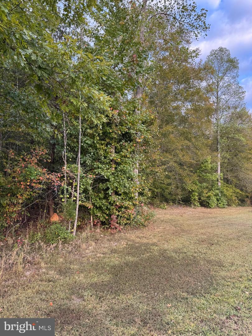 284 BOULDER SPRINGS LN, LOUISA, Virginia 23093, 4 Bedrooms Bedrooms, ,2 BathroomsBathrooms,Farm,For sale,284 BOULDER SPRINGS LN,VALA2008790 MLS # VALA2008790 284 BOULDER SPRINGS LN, LOUISA, Virginia 23093, 4 Bedrooms Bedrooms, ,2 BathroomsBathrooms,Farm,For sale,284 BOULDER SPRINGS LN,VALA2008790 MLS # VALA2008790