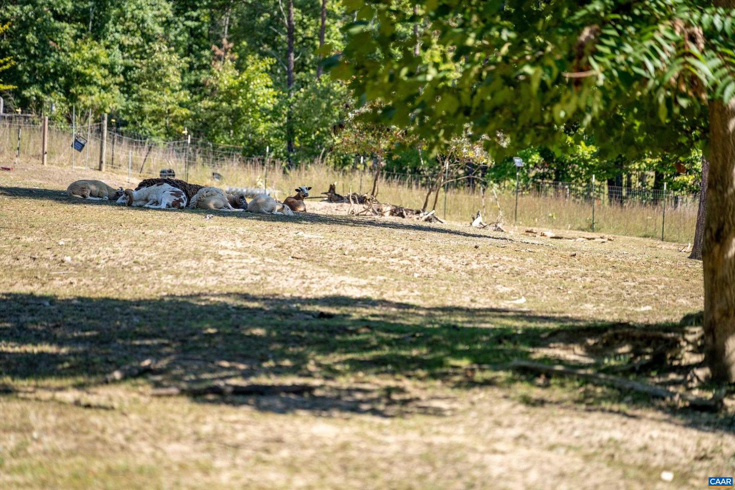 1889 POND RD, BUCKINGHAM, Virginia 23921, 5 Bedrooms Bedrooms, ,4 BathroomsBathrooms,Residential,For sale,1889 POND RD,656835 MLS # 656835 1889 POND RD, BUCKINGHAM, Virginia 23921, 5 Bedrooms Bedrooms, ,4 BathroomsBathrooms,Residential,For sale,1889 POND RD,656835 MLS # 656835