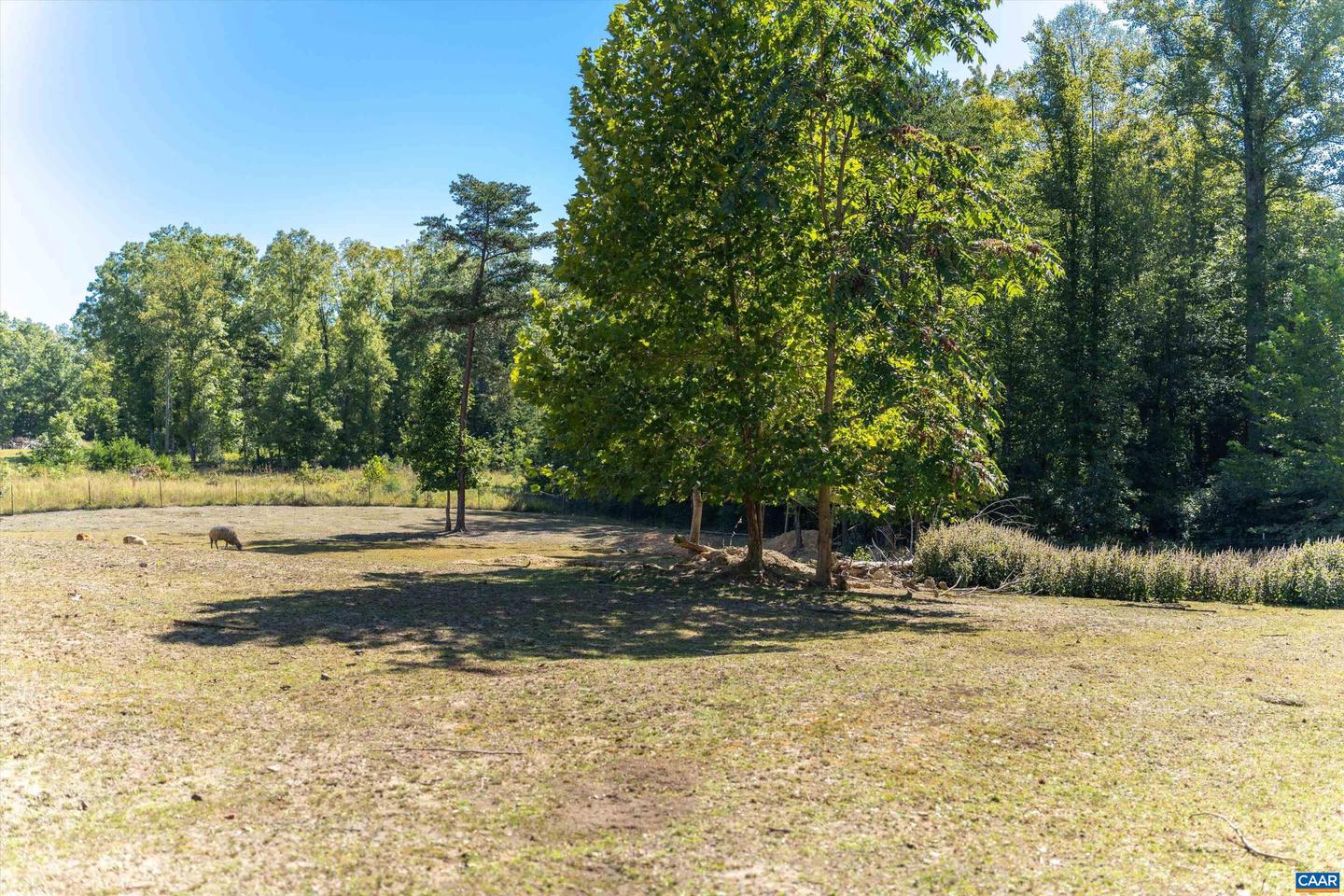 1889 POND RD, BUCKINGHAM, Virginia 23921, 5 Bedrooms Bedrooms, ,4 BathroomsBathrooms,Residential,For sale,1889 POND RD,656835 MLS # 656835 1889 POND RD, BUCKINGHAM, Virginia 23921, 5 Bedrooms Bedrooms, ,4 BathroomsBathrooms,Residential,For sale,1889 POND RD,656835 MLS # 656835