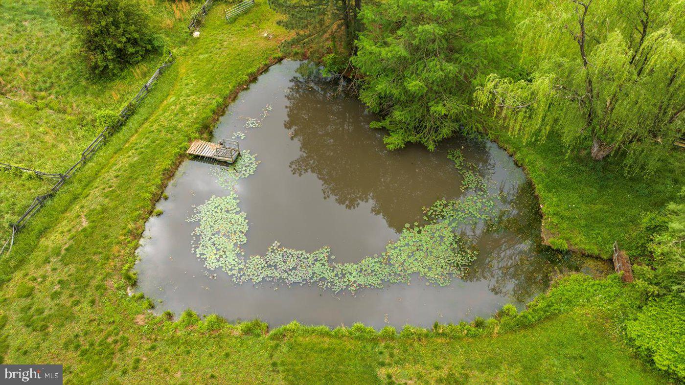 2188 SEVILLE RD, MADISON, Virginia 22727, 3 Bedrooms Bedrooms, ,2 BathroomsBathrooms,Residential,For sale,2188 SEVILLE RD,VAMA2002218 MLS # VAMA2002218 2188 SEVILLE RD, MADISON, Virginia 22727, 3 Bedrooms Bedrooms, ,2 BathroomsBathrooms,Residential,For sale,2188 SEVILLE RD,VAMA2002218 MLS # VAMA2002218