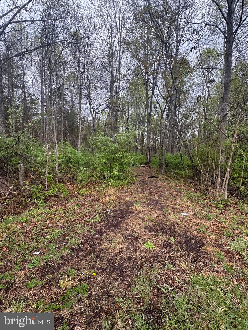 OLD STILLHOUSE RD, CULPEPER, Virginia 22701, ,Land,For sale,OLD STILLHOUSE RD,VACU2010182 MLS # VACU2010182