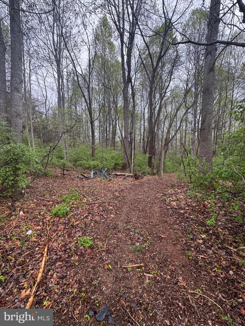 OLD STILLHOUSE RD, CULPEPER, Virginia 22701, ,Land,For sale,OLD STILLHOUSE RD,VACU2010182 MLS # VACU2010182