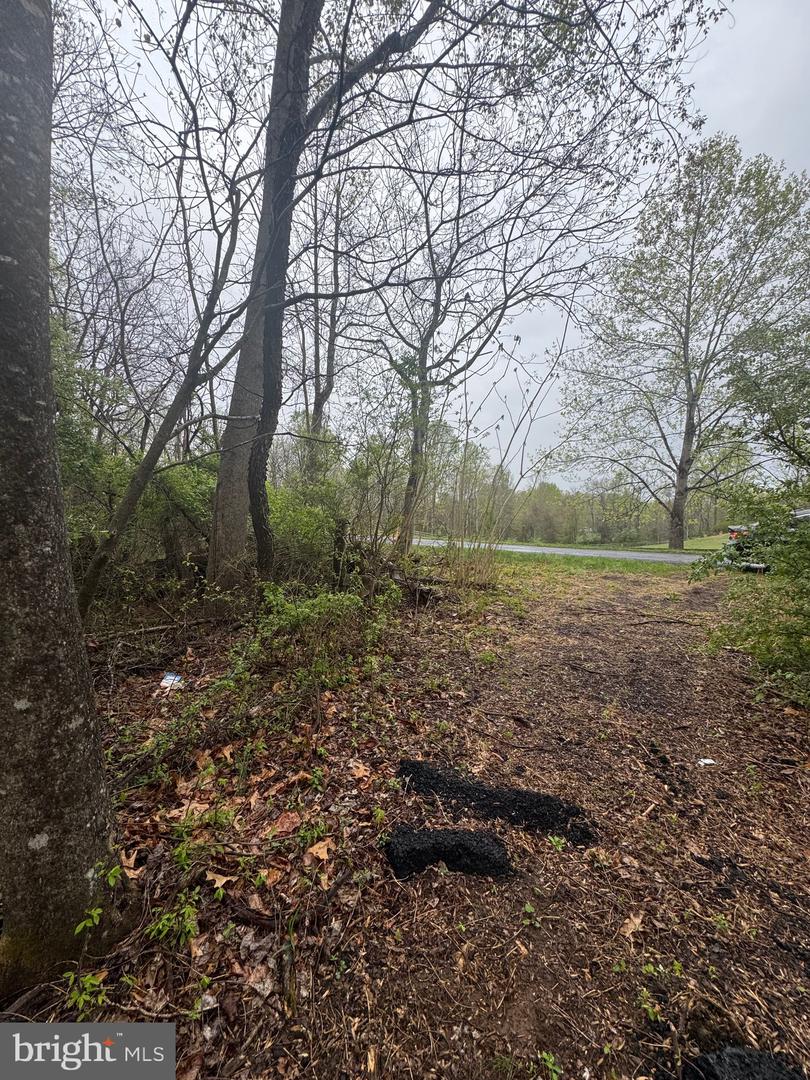 OLD STILLHOUSE RD, CULPEPER, Virginia 22701, ,Land,For sale,OLD STILLHOUSE RD,VACU2010182 MLS # VACU2010182