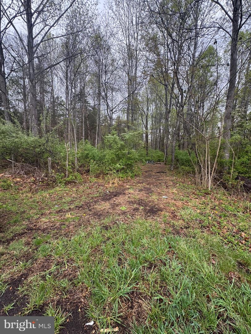 OLD STILLHOUSE RD, CULPEPER, Virginia 22701, ,Land,For sale,OLD STILLHOUSE RD,VACU2010182 MLS # VACU2010182