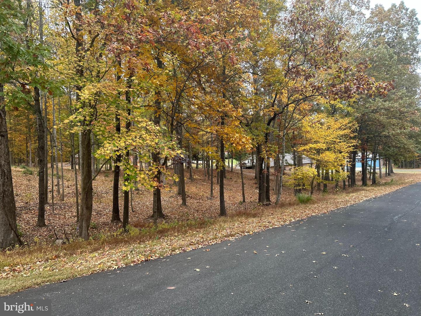 50 PIPER PL, FREDERICKSBURG, Virginia 22405, ,Land,For sale,50 PIPER PL,VAST2043952 MLS # VAST2043952 50 PIPER PL, FREDERICKSBURG, Virginia 22405, ,Land,For sale,50 PIPER PL,VAST2043952 MLS # VAST2043952