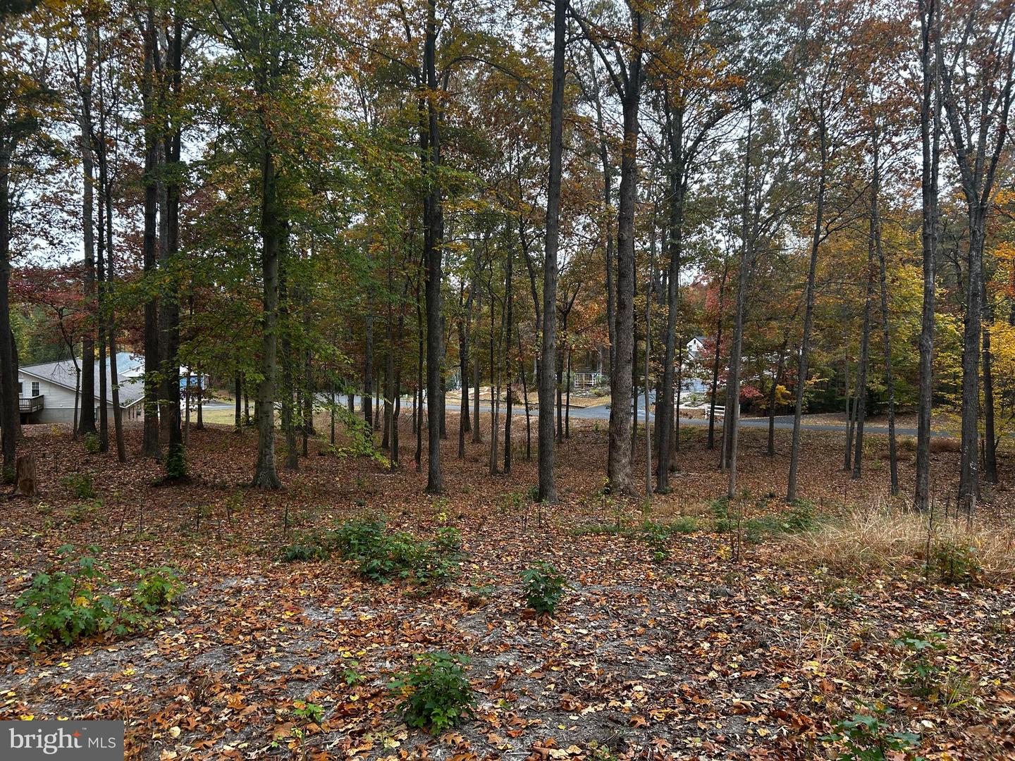 50 PIPER PL, FREDERICKSBURG, Virginia 22405, ,Land,For sale,50 PIPER PL,VAST2043952 MLS # VAST2043952 50 PIPER PL, FREDERICKSBURG, Virginia 22405, ,Land,For sale,50 PIPER PL,VAST2043952 MLS # VAST2043952