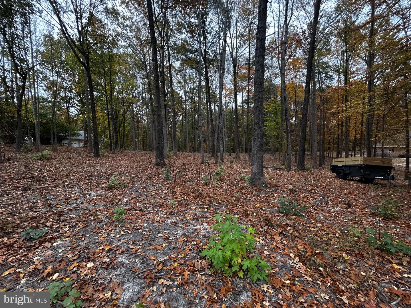 50 PIPER PL, FREDERICKSBURG, Virginia 22405, ,Land,For sale,50 PIPER PL,VAST2043952 MLS # VAST2043952 50 PIPER PL, FREDERICKSBURG, Virginia 22405, ,Land,For sale,50 PIPER PL,VAST2043952 MLS # VAST2043952