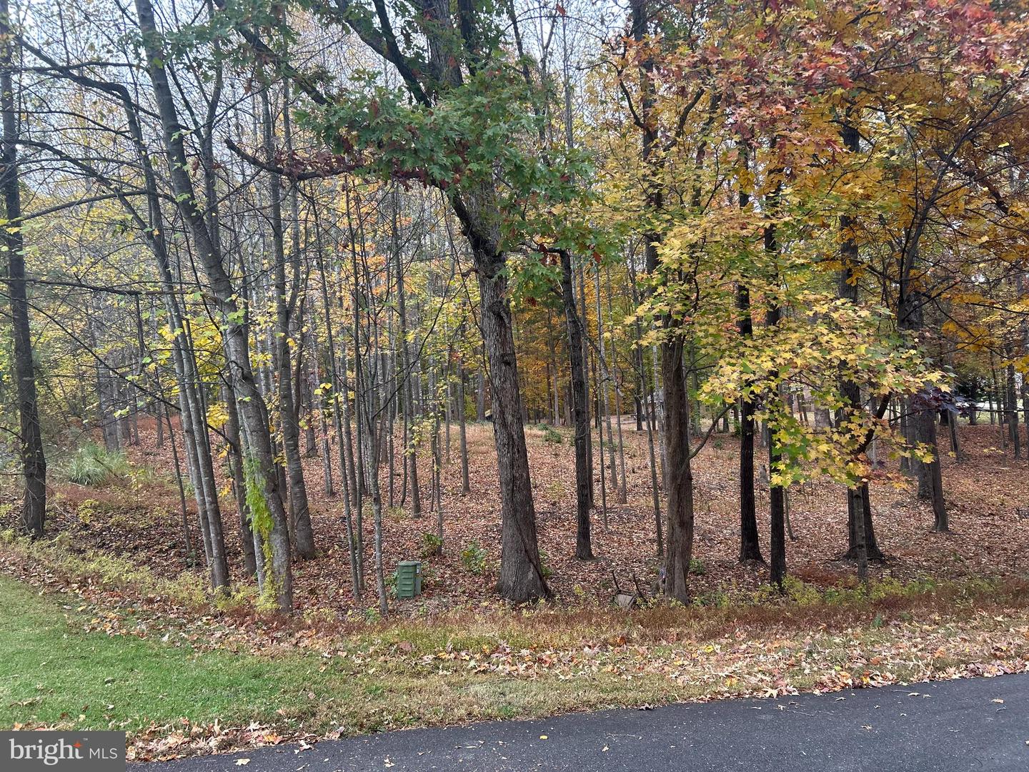 50 PIPER PL, FREDERICKSBURG, Virginia 22405, ,Land,For sale,50 PIPER PL,VAST2043952 MLS # VAST2043952 50 PIPER PL, FREDERICKSBURG, Virginia 22405, ,Land,For sale,50 PIPER PL,VAST2043952 MLS # VAST2043952