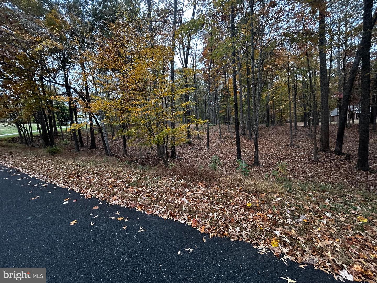 50 PIPER PL, FREDERICKSBURG, Virginia 22405, ,Land,For sale,50 PIPER PL,VAST2043952 MLS # VAST2043952 50 PIPER PL, FREDERICKSBURG, Virginia 22405, ,Land,For sale,50 PIPER PL,VAST2043952 MLS # VAST2043952