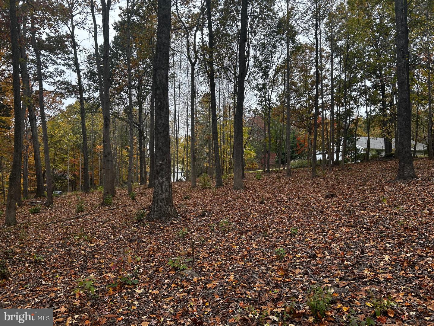 50 PIPER PL, FREDERICKSBURG, Virginia 22405, ,Land,For sale,50 PIPER PL,VAST2043952 MLS # VAST2043952 50 PIPER PL, FREDERICKSBURG, Virginia 22405, ,Land,For sale,50 PIPER PL,VAST2043952 MLS # VAST2043952