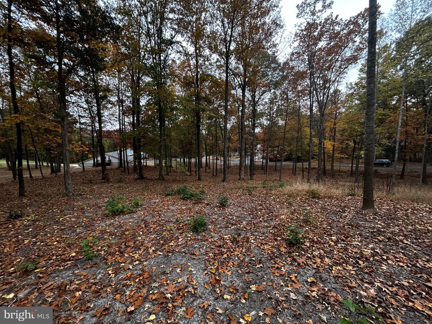 50 PIPER PL, FREDERICKSBURG, Virginia 22405, ,Land,For sale,50 PIPER PL,VAST2043952 MLS # VAST2043952 50 PIPER PL, FREDERICKSBURG, Virginia 22405, ,Land,For sale,50 PIPER PL,VAST2043952 MLS # VAST2043952