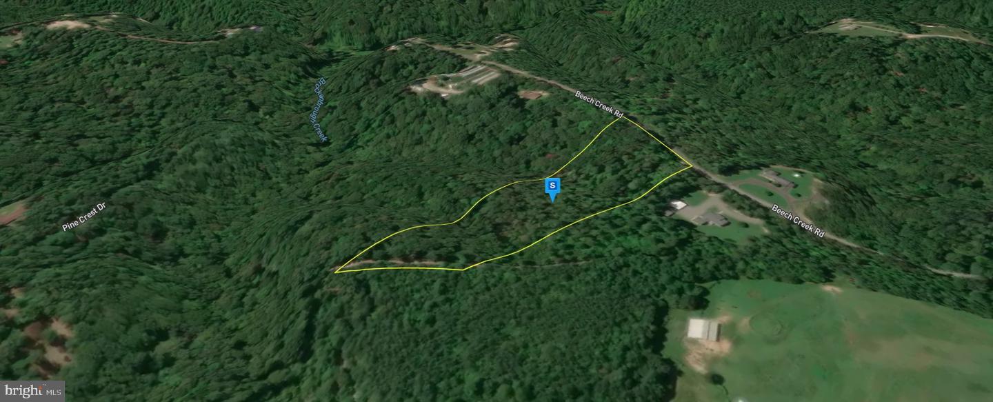 312 BEECH CREEK RD, WARSAW, Virginia 22572, ,Land,For sale,312 BEECH CREEK RD,VARV2000572 MLS # VARV2000572 312 BEECH CREEK RD, WARSAW, Virginia 22572, ,Land,For sale,312 BEECH CREEK RD,VARV2000572 MLS # VARV2000572