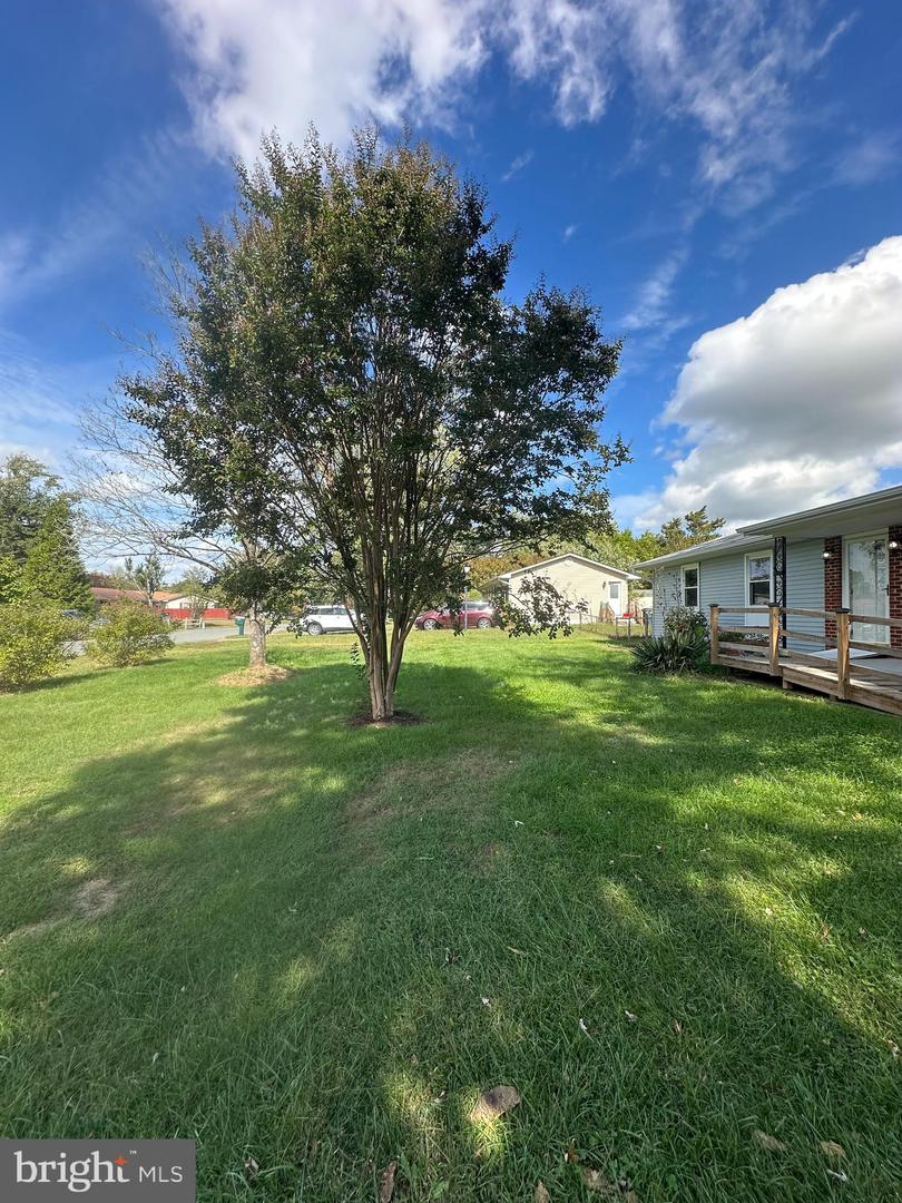 115 AUSTIN DR, STAFFORD, Virginia 22556, 4 Bedrooms Bedrooms, ,2 BathroomsBathrooms,Residential,For sale,115 AUSTIN DR,VAST2041082 MLS # VAST2041082 115 AUSTIN DR, STAFFORD, Virginia 22556, 4 Bedrooms Bedrooms, ,2 BathroomsBathrooms,Residential,For sale,115 AUSTIN DR,VAST2041082 MLS # VAST2041082