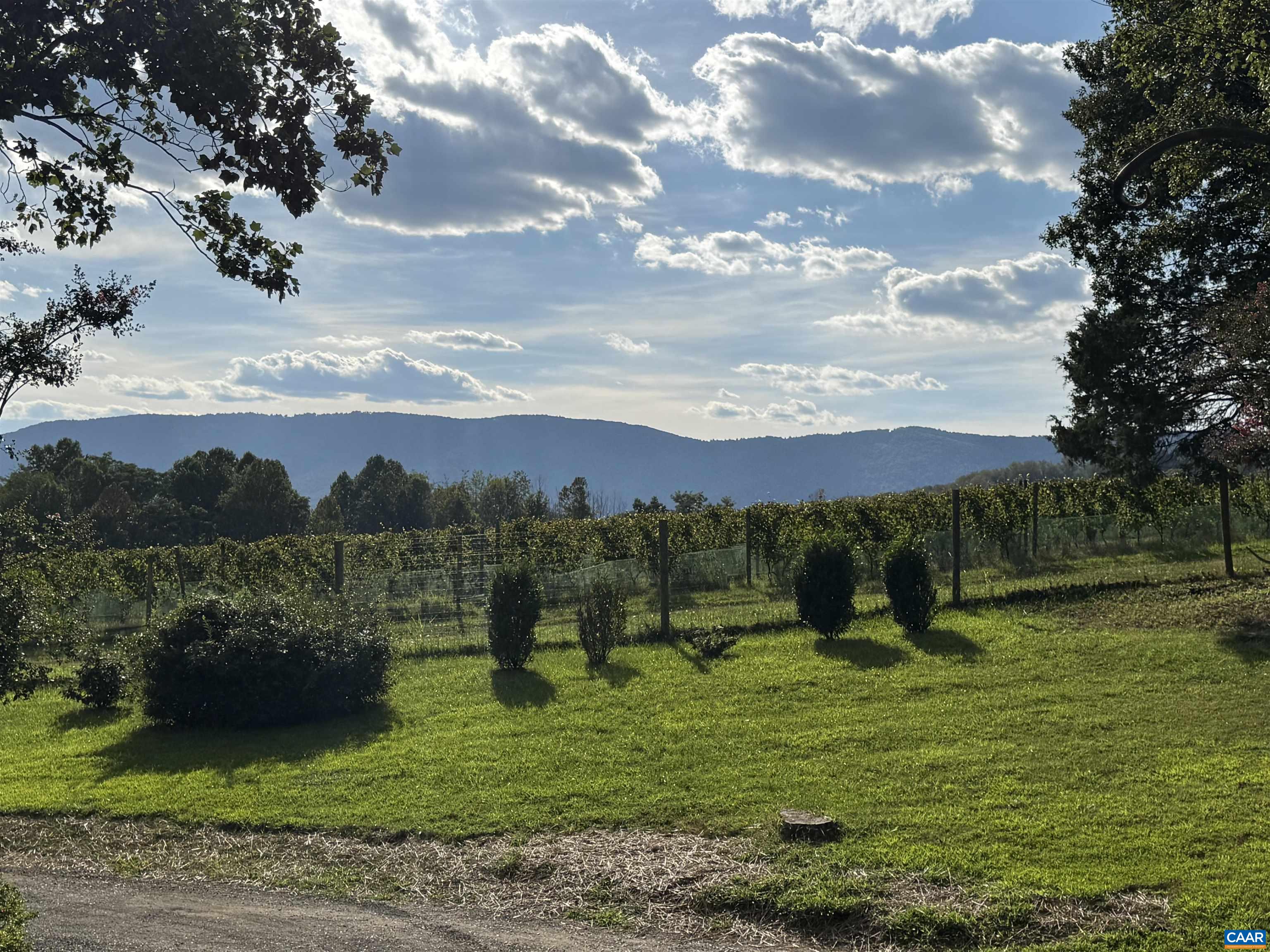 8508 DICK WOODS RD, AFTON, Virginia 22920, 5 Bedrooms Bedrooms, ,3 BathroomsBathrooms,Residential,8508 DICK WOODS RD,668494 MLS # 668494 8508 DICK WOODS RD, AFTON, Virginia 22920, 5 Bedrooms Bedrooms, ,3 BathroomsBathrooms,Residential,8508 DICK WOODS RD,668494 MLS # 668494