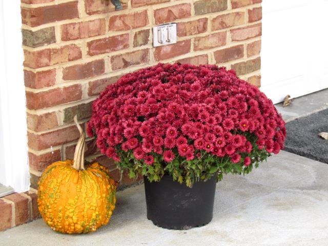 2976 CRYSTAL SPRING LN, ROCKINGHAM, Virginia 22801, 3 Bedrooms Bedrooms, ,2 BathroomsBathrooms,Residential,2976 CRYSTAL SPRING LN,670702 MLS # 670702 2976 CRYSTAL SPRING LN, ROCKINGHAM, Virginia 22801, 3 Bedrooms Bedrooms, ,2 BathroomsBathrooms,Residential,2976 CRYSTAL SPRING LN,670702 MLS # 670702