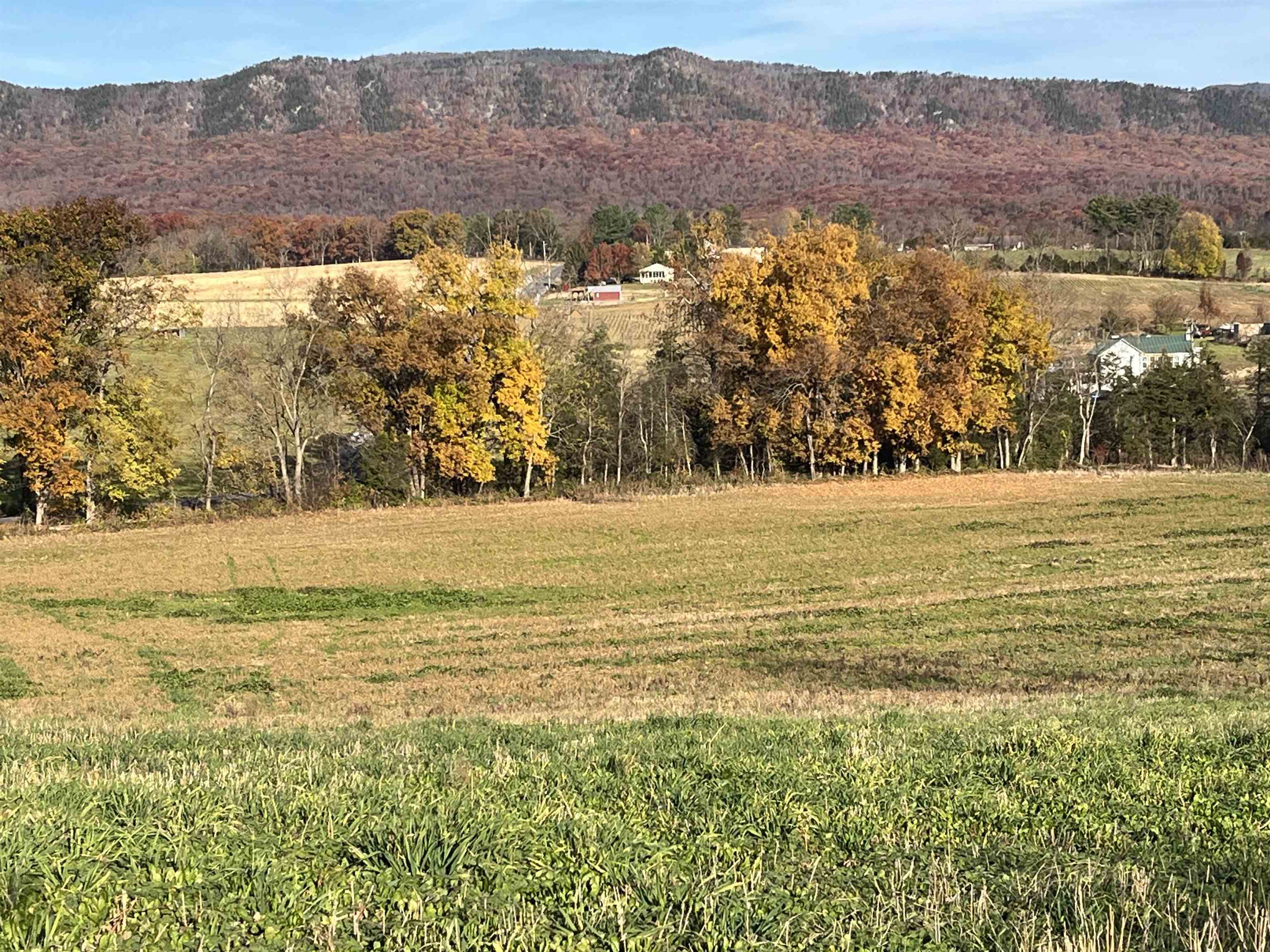 TBD MICHAEL LN, ELKTON, Virginia 22827, ,Land,TBD MICHAEL LN,670718 MLS # 670718