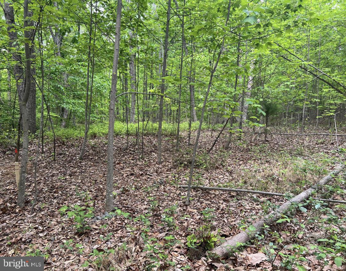 COURTNEY SCHOOL, MIDLAND, Virginia 22728, ,Land,For sale,COURTNEY SCHOOL,VAFQ2010688 MLS # VAFQ2010688