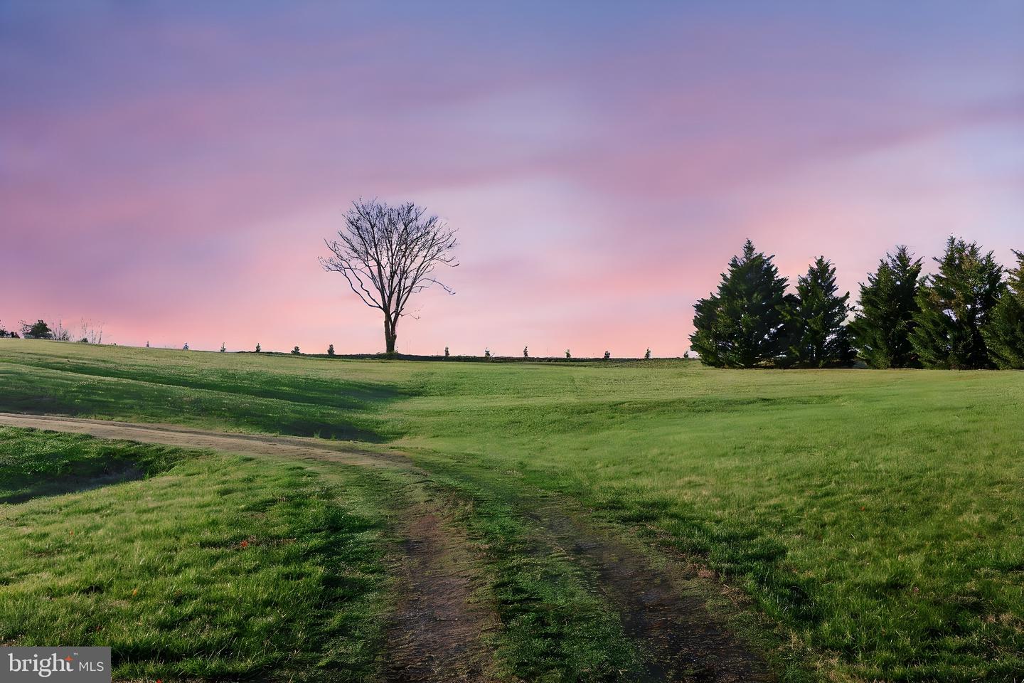 6602 SUNRISE BAY DR, MINERAL, Virginia 23117, ,Land,For sale,6602 SUNRISE BAY DR,VASP2031684 MLS # VASP2031684 6602 SUNRISE BAY DR, MINERAL, Virginia 23117, ,Land,For sale,6602 SUNRISE BAY DR,VASP2031684 MLS # VASP2031684