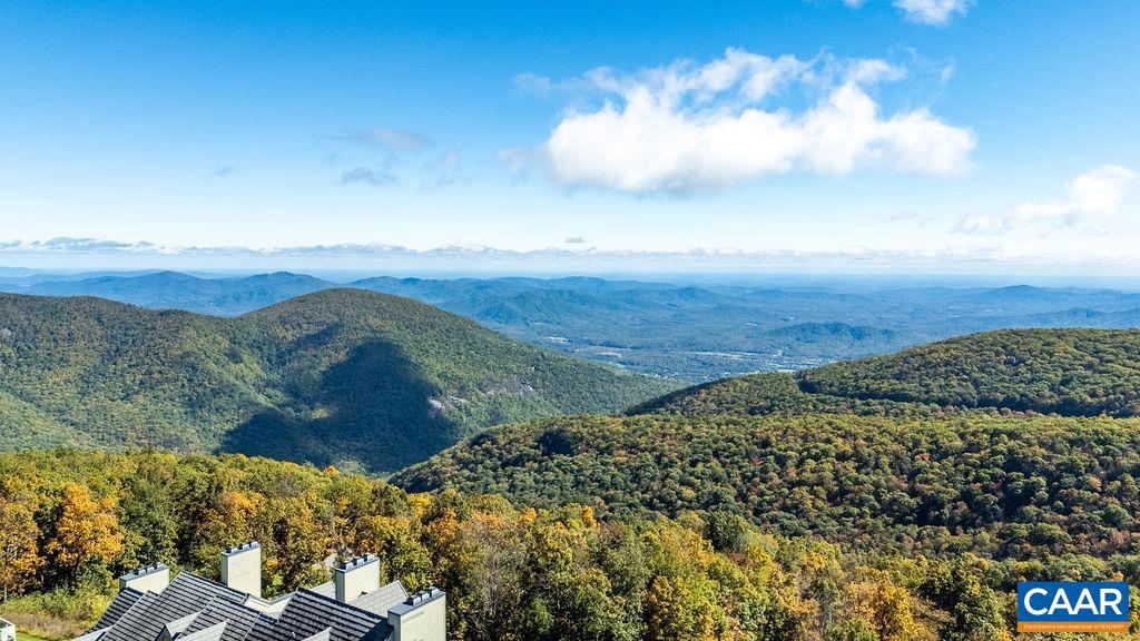 1641 OVERLOOK CONDOS, WINTERGREEN, Virginia 22967, 2 Bedrooms Bedrooms, ,2 BathroomsBathrooms,Residential,For sale,1641 OVERLOOK CONDOS,670216 MLS # 670216
