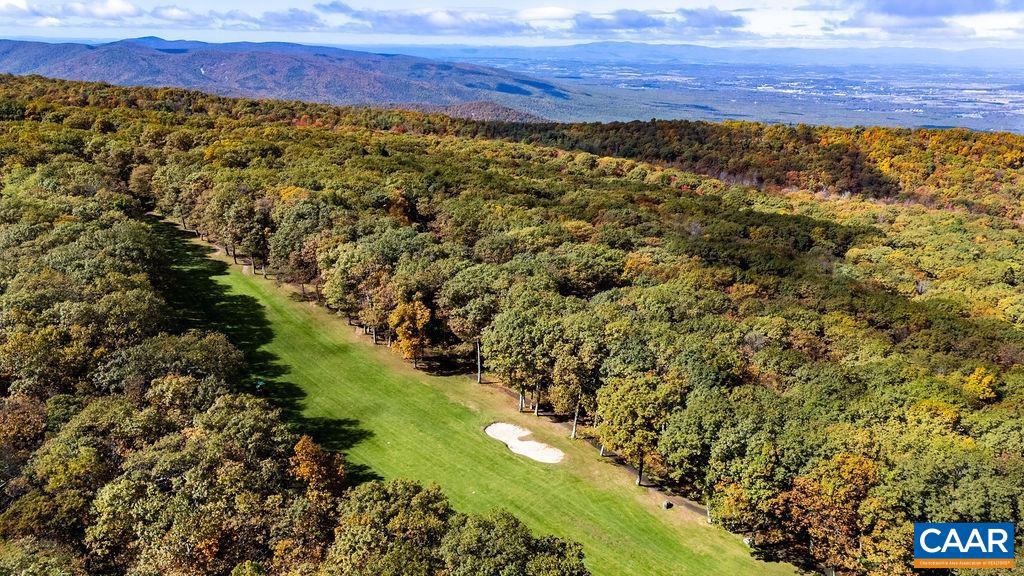 1641 OVERLOOK CONDOS, WINTERGREEN, Virginia 22967, 2 Bedrooms Bedrooms, ,2 BathroomsBathrooms,Residential,For sale,1641 OVERLOOK CONDOS,670216 MLS # 670216