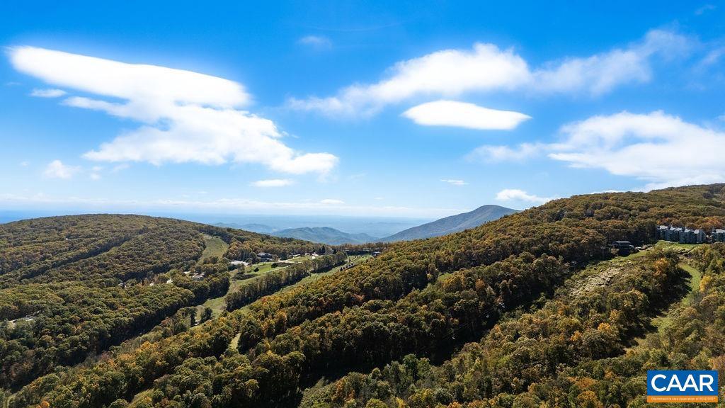 1641 OVERLOOK CONDOS, WINTERGREEN, Virginia 22967, 2 Bedrooms Bedrooms, ,2 BathroomsBathrooms,Residential,For sale,1641 OVERLOOK CONDOS,670216 MLS # 670216